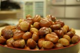 食欲の秋