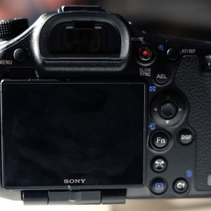 sonya99backcontorls-1