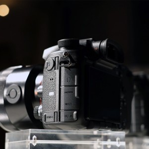 sonya99backwtmk-1