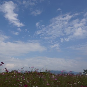 DSC09359