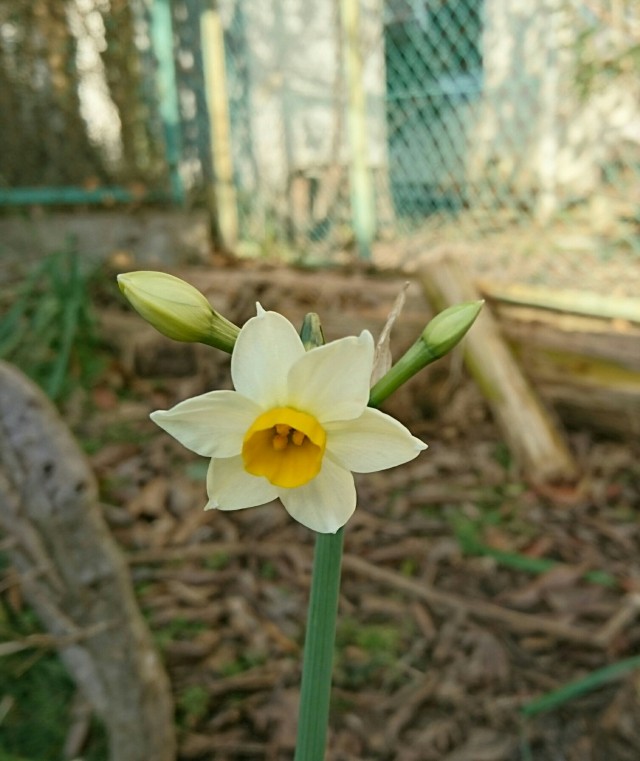 20170224_140721