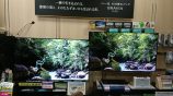 新商品の4K有機テレビと液晶テレビが展示されました！