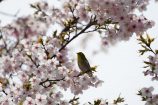 レンズの試し撮りに行って来ました♡