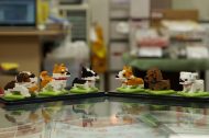 100円SHOPで楽しいもの見つけちゃいました 犬シリーズ編