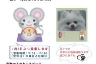 新年のご挨拶