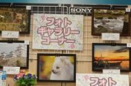 フォトギャラリーコーナー完成しました