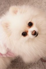 電波新聞の記者さんが花の取材に来たよ