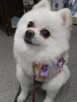 今日の看板犬♡花子 2021.10.15